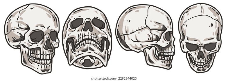 Skull vector set for halloween design. Skeleton head collection or bone brutal skull