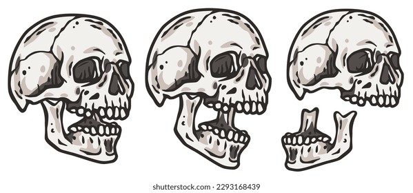 Skull vector set for halloween design. Skeleton head collection or bone brutal skull