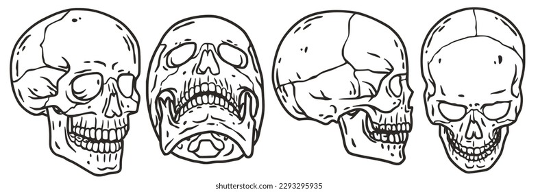 Skull vector set for halloween design. Skeleton head collection or bone brutal skull