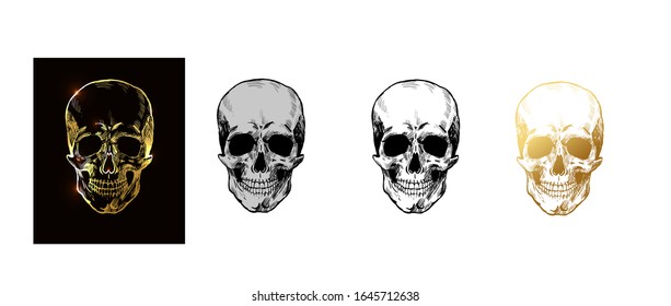 Skull - vector set hand drawn design. Grey, gold, black and white, ocher skulls isolated on white background. Vector illustration. 
