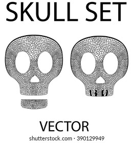 Skull vector set. Isolated lace design elements.