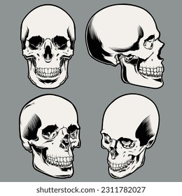 skull vector set retro vintage