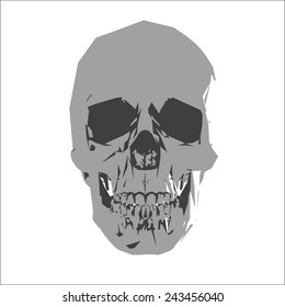 Skull vector. Skull T shirt Graphic Design. Vector black and white illustration of human skull with a lower jaw