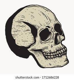 Skull vintage engraving style isolated vector hand drawn illustration for graphic design and creative projects. stamp logo emblem, retro branding and tattoo design
