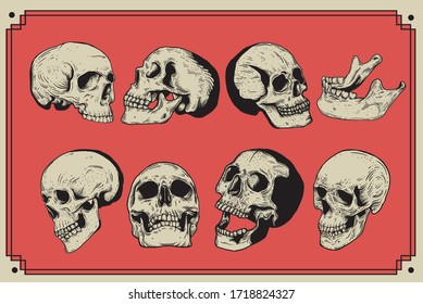 Skull vintage engraving style isolated vector hand drawn illustration for graphic design and creative projects. stamp logo emblem, retro branding and tattoo design