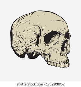 Skull vintage engraving style isolated vector hand drawn illustration for graphic design and creative projects. stamp logo emblem, retro branding and tattoo design
