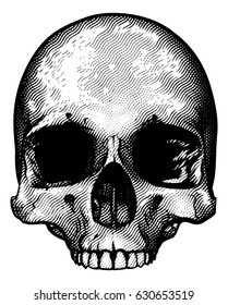 Skull in a vintage retro hand drawn woodcut etched or engraved style