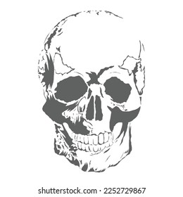Skull vintage style. Vector illustration.