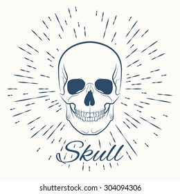 skull and vintage sun burst frame, excellent vector illustration, EPS 10