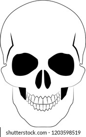 Skull white and black full of teeth