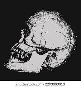 skull white on black night scare face vector