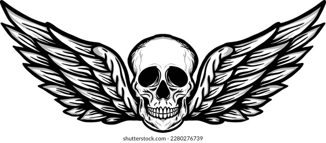 skull wing vector image illustrations