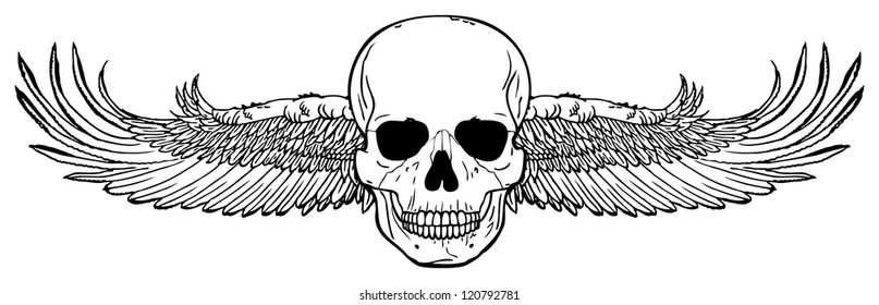 Skull with wings