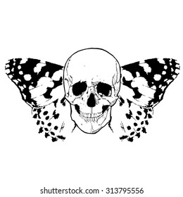 Skull and wings of the butterflly vector tatoo illustration - Day of the Dead