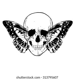 Skull and wings of the butterflly vector tatoo illustration - Day of the Dead