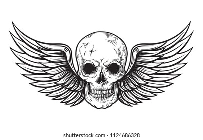 Skull and wings in engraving style. Vector illustration