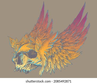 skull and wings illustration concept

