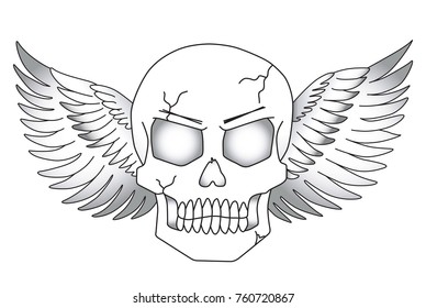 Skull and wings. Vector illustration.