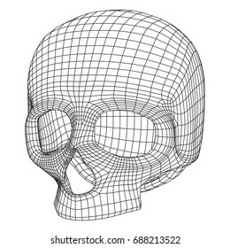 Skull Wireframe Low Poly Mesh. Vector illustration technology live and death concept
