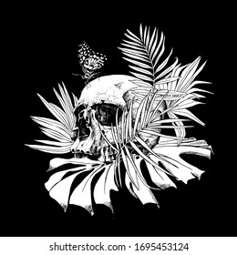 Skull without lower jaw   Butterfly  exotic palm leaves  Creative Mystic occulture poster  t  shirt composition  hand drawn style print  Vector black   white illustration 