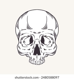 Skull, without lower jaw. Vector illustration. Human skeleton. Anatomy. Silhouette in cartoon, flat style. Graphic arts