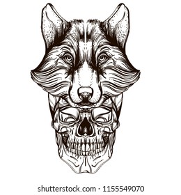 Skull with a wolf mask. Outline vector illustration isolated on white background for tattoos, posters, printing on T-shirts and other items.