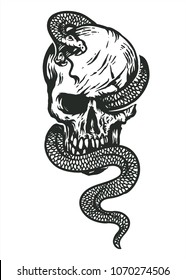 Skull Wrapped By Snake Hand Drawing Stock Vector (Royalty Free ...