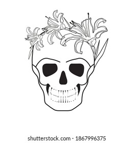 Skull in a wreath of lily flowers. Linear vector illustration isolated on white background.