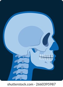 Skull x-ray side view vector illustration