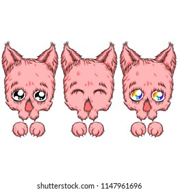 Skull-kitten. Very cute