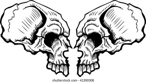 skulls