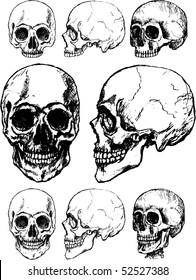 Skulls