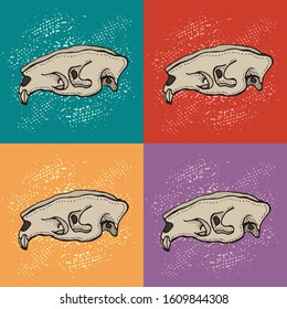 Skulls of animal vector illustration. Doodle mammal skeleton. Hand drawn pattern on a colorful background.