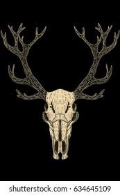 Skulls of animals. Vintage. Vector illustration