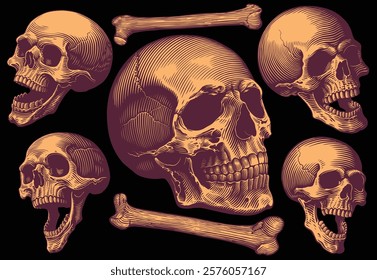 Skulls and Bones. Design set. Editable hand drawn illustration. Vector vintage engraving. Isolated on black background. 8 EPS