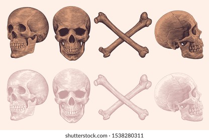 Skulls and bones. Design set. Hand drawn engraving. Editable vector vintage illustration. Isolated on light background. 8 EPS