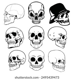 Skulls and bones vector set isolated on white background. Black and white skull illustration.