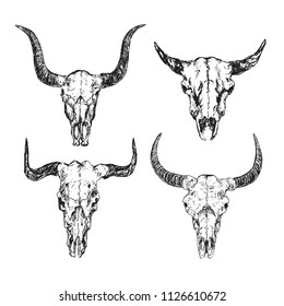 Skulls of bulls with horns set,  hand drawn ink doodle, sketch, vector outline illustration