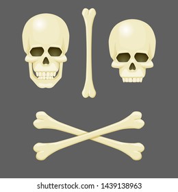 Skulls, crossbones and a single bone. Vector illustration. Jolly Roger. Pirate, danger, anatomy, poison symbol.