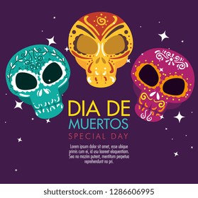 skulls decoration to day of the dead celebration