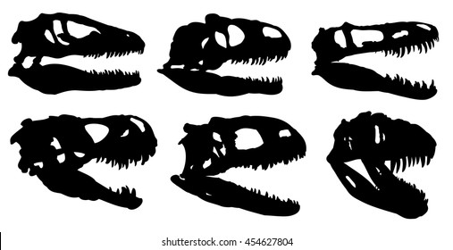 Dinosaur Skulls Images, Stock Photos & Vectors | Shutterstock