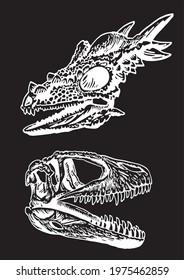Skulls of dinosaurs on black background,vector engraved illustration 