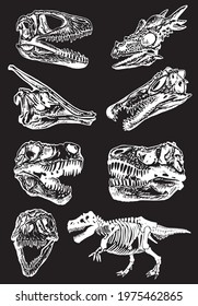 Skulls of dinosaurs on black background,vector engraved illustration 