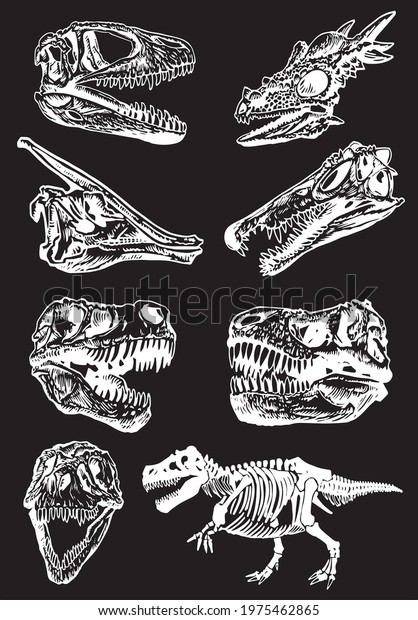 Skulls Dinosaurs On Black Backgroundvector Engraved Stock Vector ...