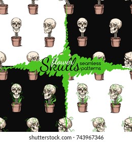 Skulls  Growing in