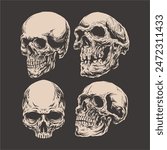 skulls head high quality vector art 