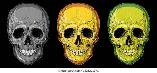 Skulls on black color variations vector illustrations