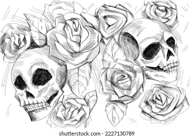 Skulls and roses black white with pencil strokes vector illustration 