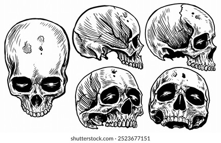 skulls vector isolated on white background,hand drawn 