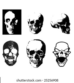 Skulls vector set